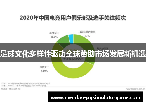 足球文化多样性驱动全球赞助市场发展新机遇