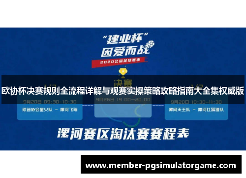 欧协杯决赛规则全流程详解与观赛实操策略攻略指南大全集权威版