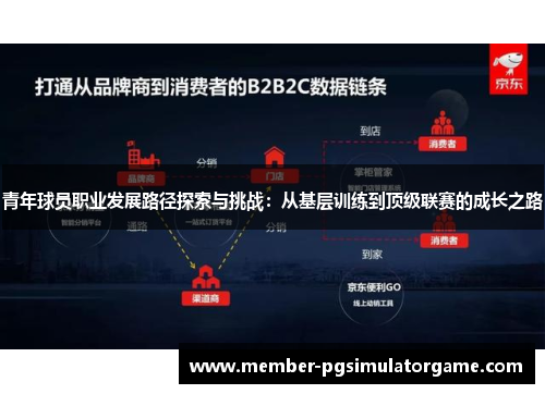 青年球员职业发展路径探索与挑战：从基层训练到顶级联赛的成长之路
